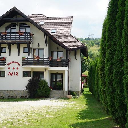 Pensiunea Mis Бран Экстерьер фото