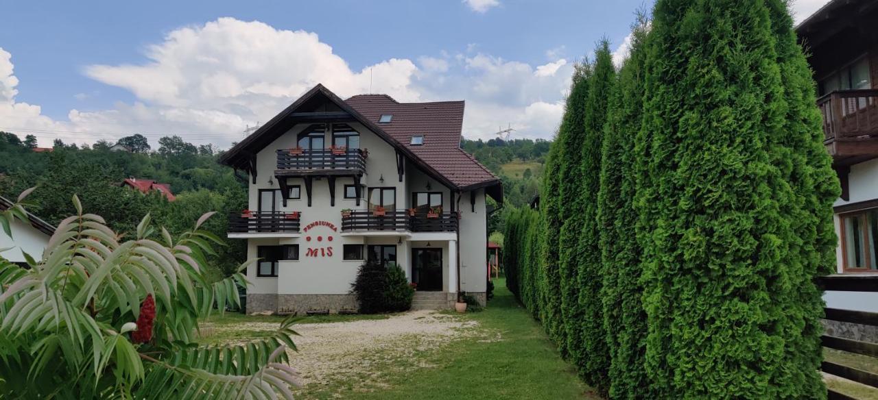 Pensiunea Mis Бран Экстерьер фото