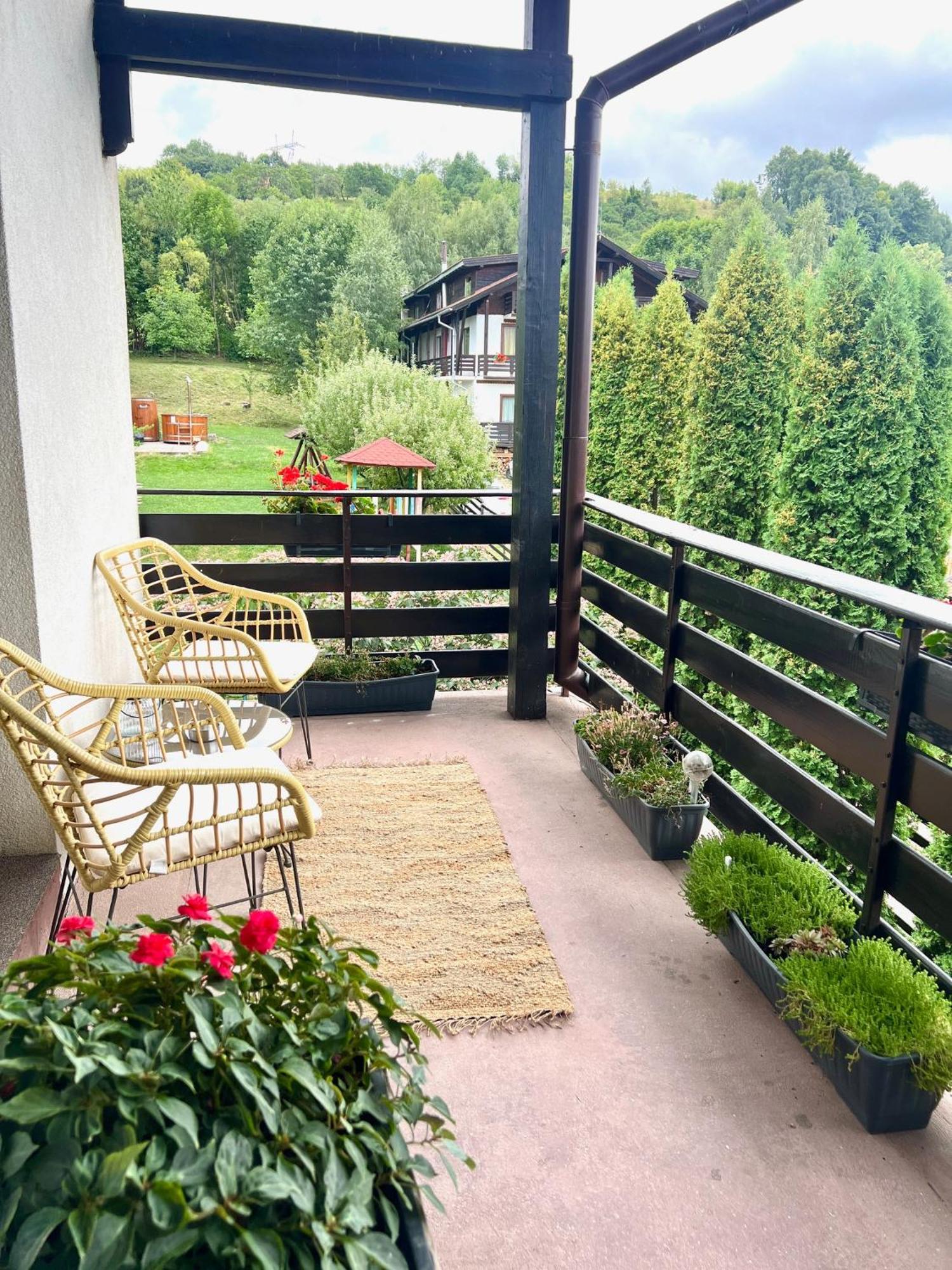Pensiunea Mis Бран Экстерьер фото